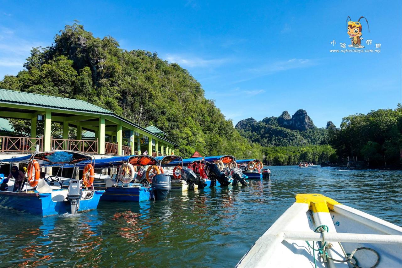 Jelajahi Mangrove Langkawi: Tur Unik untuk Menghargai Ekosistem Pesisir